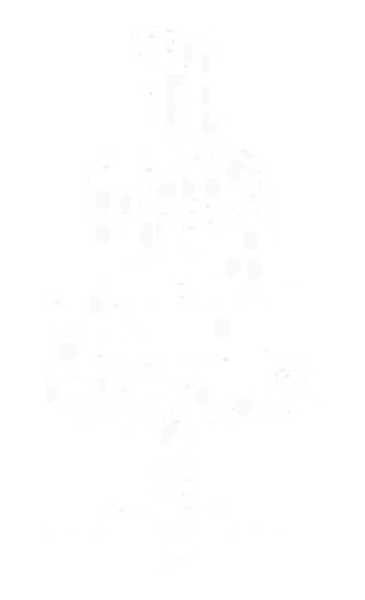 The Door Number 9 — Logo White
